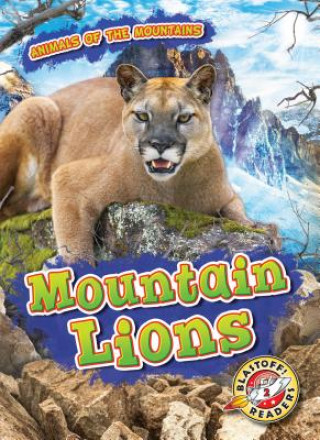 Kniha Mountain Lions Lindsay Shaffer