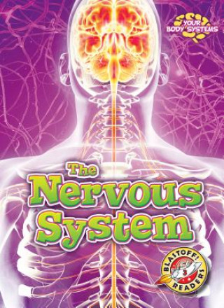 Carte The Nervous System Rebecca Pettiford