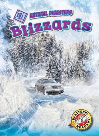 Book Blizzards Betsy Rathburn