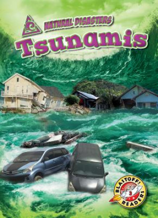 Книга Tsunamis Betsy Rathburn