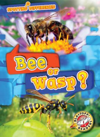 Boek Bee or Wasp? Kirsten Chang