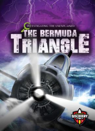 Carte The Bermuda Triangle Paige V. Polinsky