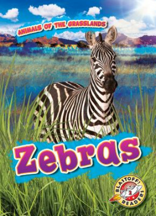 Książka Zebras Kaitlyn Duling