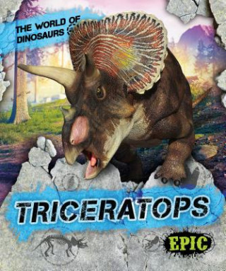 Kniha Triceratops Rebecca Sabelko