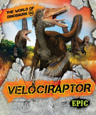 Libro Velociraptor Rebecca Sabelko
