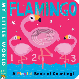 Knjiga Flamingo Patricia Hegarty