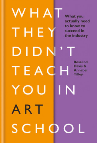 Könyv What They Didn't Teach You in Art School Rosalind Davis