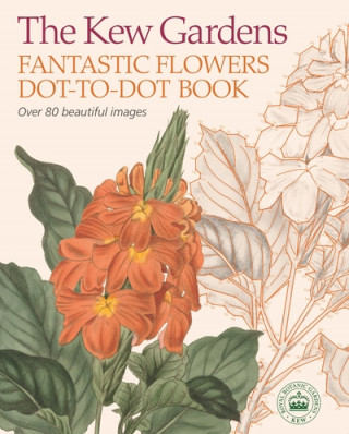 Kniha Kew Gardens Fantastic Flowers Dot-to-Dot Book David Woodroffe