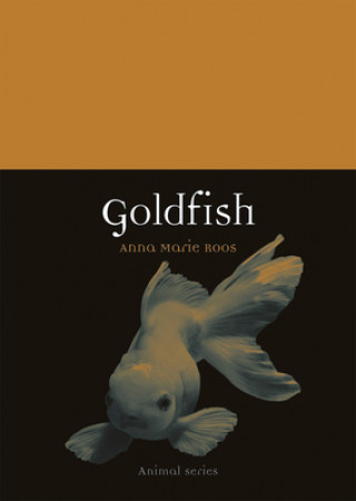 Buch Goldfish Anna-Marie Roos