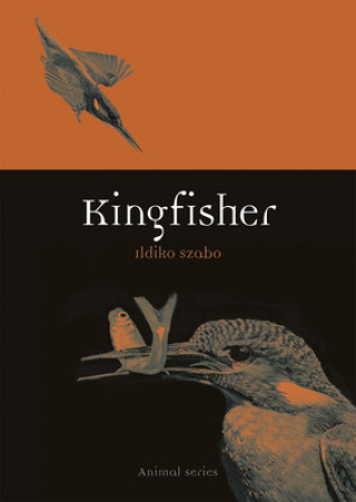 Książka Kingfisher Ildiko Szabo