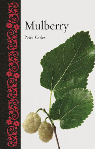 Kniha Mulberry Peter Coles