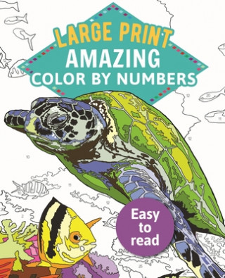 Carte Amazing Color by Numbers Large Print Arcturus Publishing