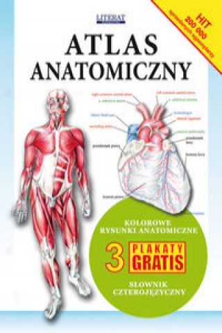 Kniha Atlas anatomiczny Małgorzata Grabowska