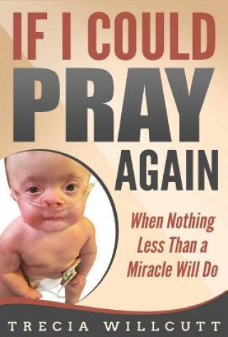 Kniha If I Could Pray Again Trecia Willcutt