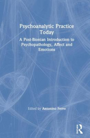 Könyv Psychoanalytic Practice Today 