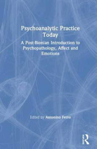 Kniha Psychoanalytic Practice Today 