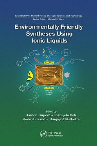 Книга Environmentally Friendly Syntheses Using Ionic Liquids Jairton Dupont