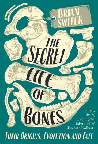 Kniha Secret Life of Bones SWITEK  BRIAN