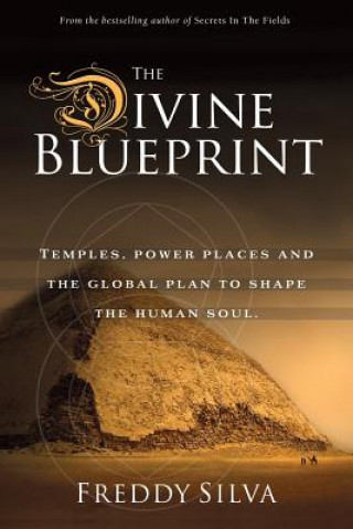 Kniha Divine Blueprint Freddy Silva