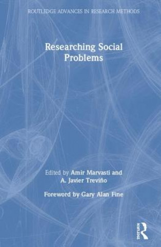 Книга Researching Social Problems Amir Marvasti