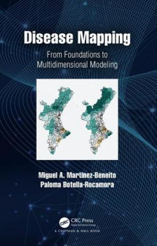 Libro Disease Mapping Martinez-Beneito