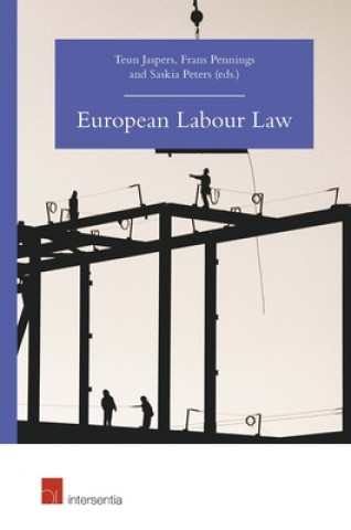 Kniha European Labour Law Teun Jaspers