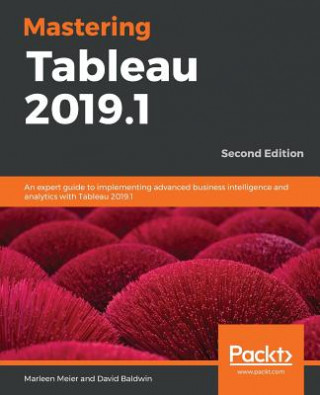 Kniha Mastering Tableau 2019.1 Marleen Meier