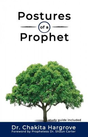 Knjiga Postures of a Prophet Chakita Hargrove