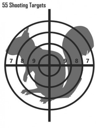 Knjiga 55 Shooting Targets: Squirrel Shooting Targets Special Targets