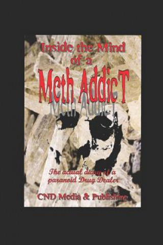 Könyv Meth: Diary of a Meth Addict Richard Williams