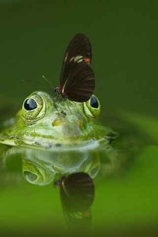 Carte Frog and a Friend: There Are Over 20,000 Species of Butterflies in the World. Planners And Journals
