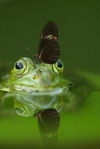 Kniha Frog and a Friend: There Are Over 20,000 Species of Butterflies in the World. Planners And Journals