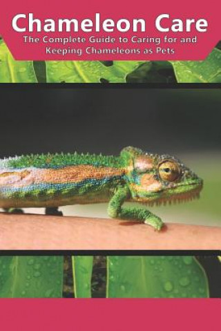 Kniha Chameleon Care: The Complete Guide to Caring for and Keeping Chameleons as Pets Tabitha Jones
