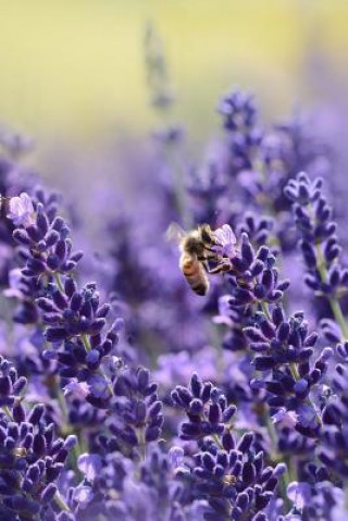 Knjiga Lavender: Lavender Is an Herb. the Flower and the Oil of Lavender Are Used to Make Medicine. Lavender Is Commonly Used for Anxie Planners And Journals