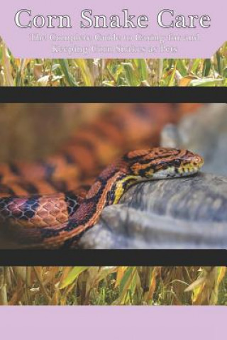 Kniha Corn Snake Care: The Complete Guide to Caring for and Keeping Corn Snakes as Pets Tabitha Jones