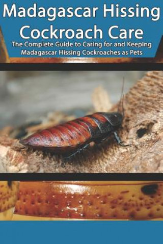 Kniha Madagascar Hissing Cockroach Care: The Complete Guide to Caring for and Keeping Madagascar Hissing Cockroaches as Pets Tabitha Jones