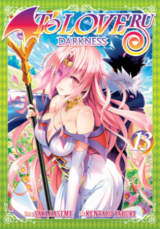 Kniha To Love Ru Darkness Vol. 13 Saki Hasemi