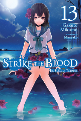 Carte Strike the Blood, Vol. 13 (light novel) Gakuto Mikumo
