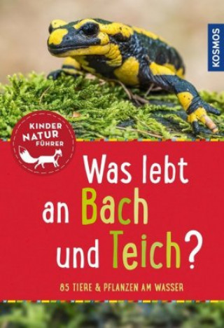 Kniha Was lebt an Bach und Teich? Kindernaturführer Anita van Saan