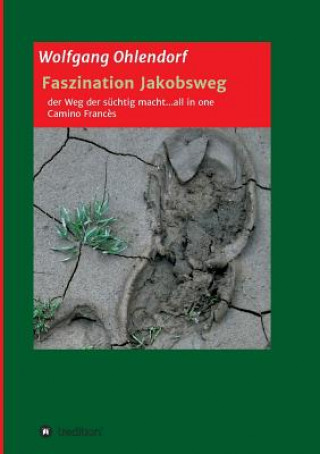 Książka Faszination Jakobsweg ? der Weg der süchtig macht...all in one Wolfgang Ohlendorf