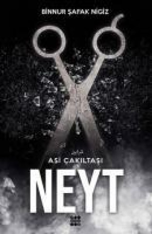 Βιβλίο Neyt Binnur safak Nigiz