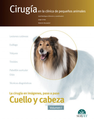Carte CIRUGÍA EN LA CLÍNICA DE PEQUEÑOS ANIMALES (VOL.1) JOSE RODRIGUEZ