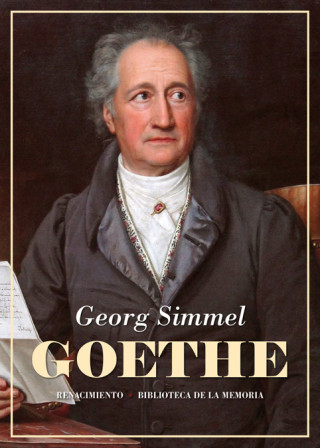Boek GOETHE GEORG SIMMEL