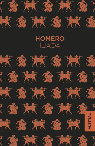 Книга ILIADA HOMERO