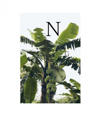 Boek Nathaniel Goldberg Nathaniel Goldberg