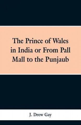 Kniha Prince of Wales in India; Or, from Pall Mall to the Punjaub J Drew Gay