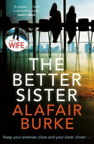 Kniha Better Sister Alafair Burke
