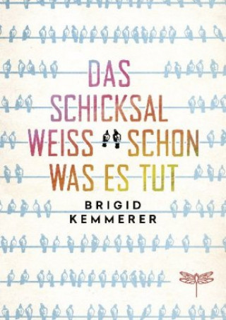 Kniha Das Schicksal weiß schon, was es tut Brigid Kemmerer