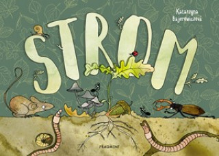 Βιβλίο Strom Katarzyna Bajerowiczová