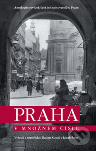 Kniha Praha v množném čísle Pavel Scheufler